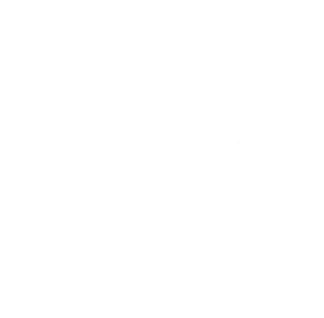 Découvrir le groupe Terres de France