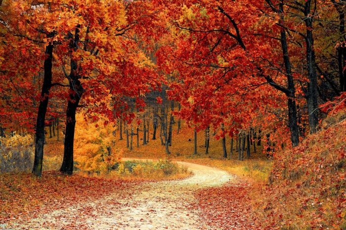 Automne en Ariège