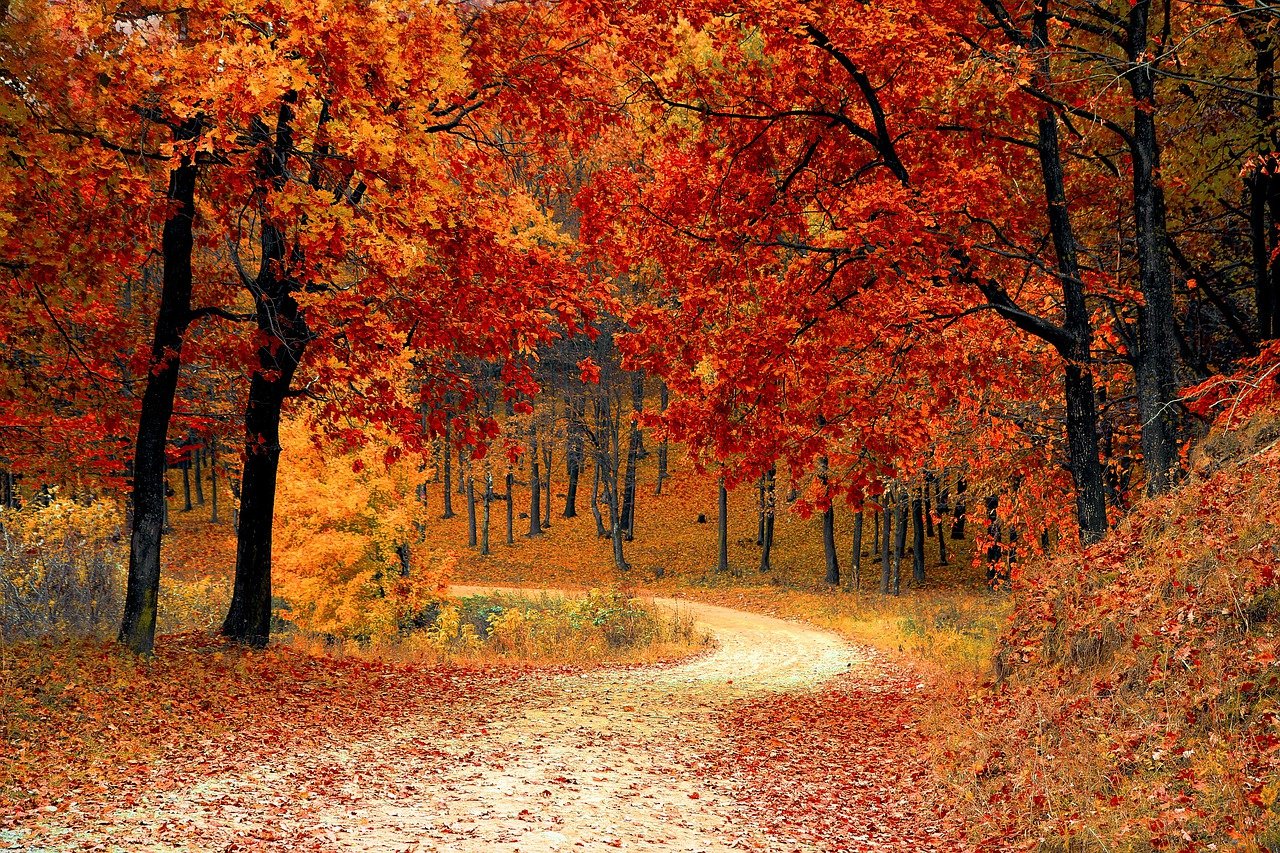 Automne en Ariège