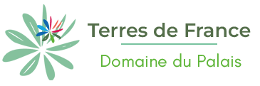 Logo Domaine du Palais